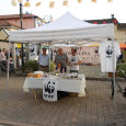 Il 5 Ottobre 2014 il WWF Lomellina era presente con un gazebo in piazza dell’Offella a Parona Lomellina.     Come ogni anno distribuiamo materiale informativo sull’ambiente cercando di sensibilizzare […]