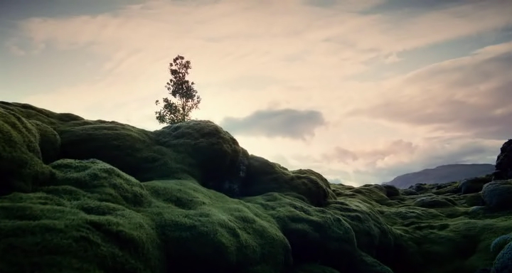 Immagine del film "The Tree Of Life" di Terrence Malick del 2011
